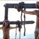 Image for article titled This is the horrible way that crucifixion actually kills you